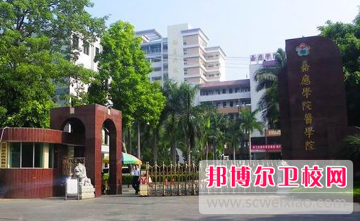 廣東2020年衛(wèi)校學什么專業(yè)好