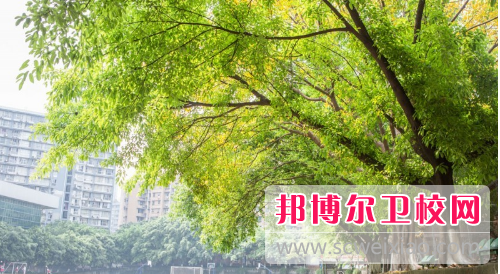 廈門(mén)醫(yī)學(xué)高等專(zhuān)科學(xué)校怎么樣、好不好