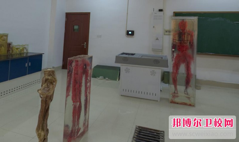 江蘇2024年女生讀護理學校好不好
