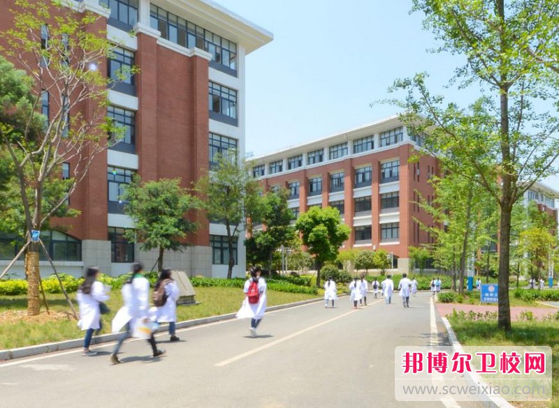 江蘇2024年護(hù)理學(xué)校有哪些科目