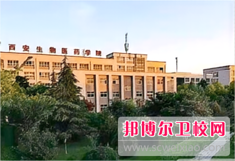 陜西2024年哪所護(hù)理學(xué)校就業(yè)最好