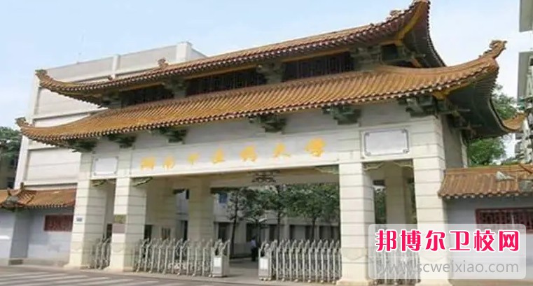 湖南2024年護理學校和職高哪個好