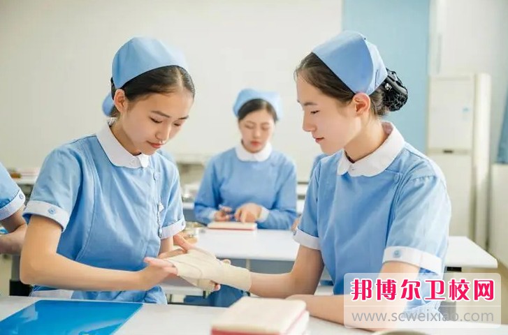 湖南2024年護(hù)理學(xué)校有哪些科目