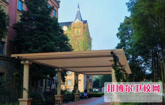 四川2025年哪所護(hù)理學(xué)校就業(yè)好